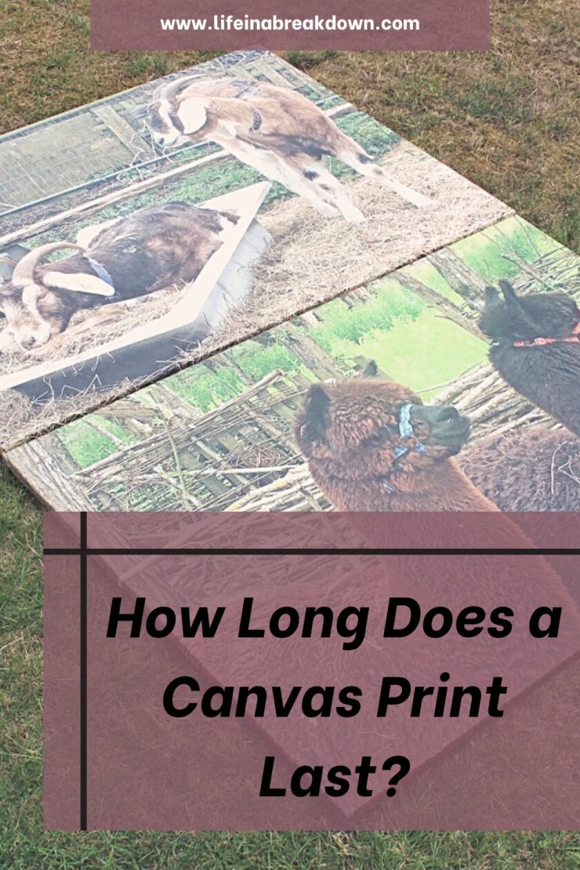 Do you have canvas prints in your home? If so one thing you might wonder is how long does a canvas print last.