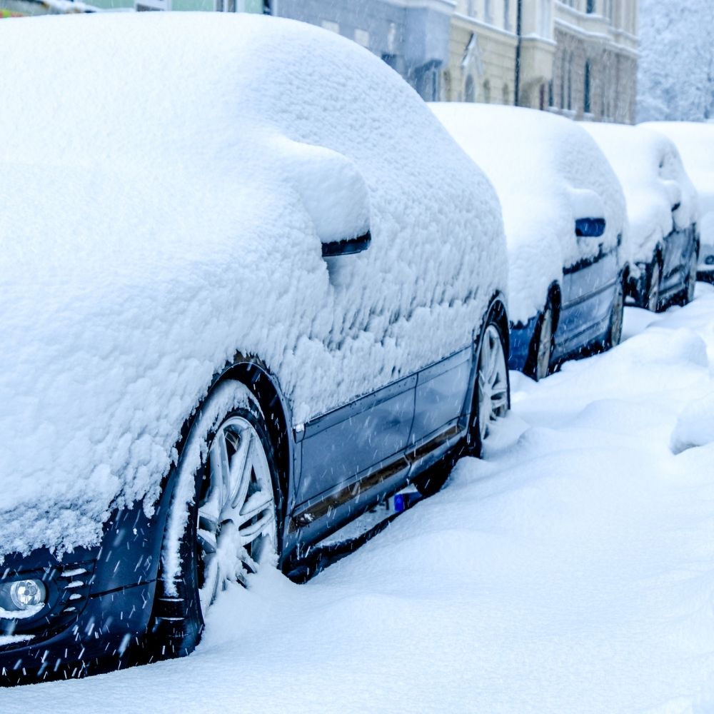 cars covered in snow