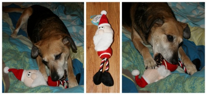 Santa Tennis Toy