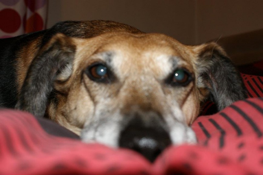 Sally