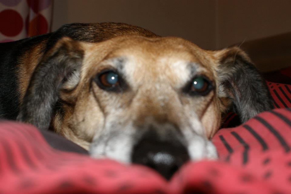 Sally