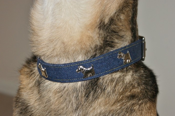 Denim 4 Dogs