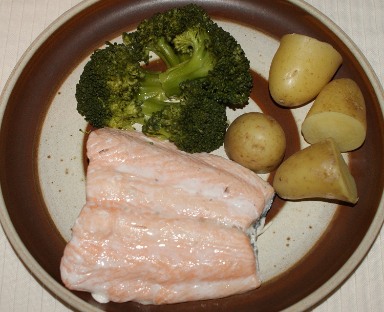 Salmon