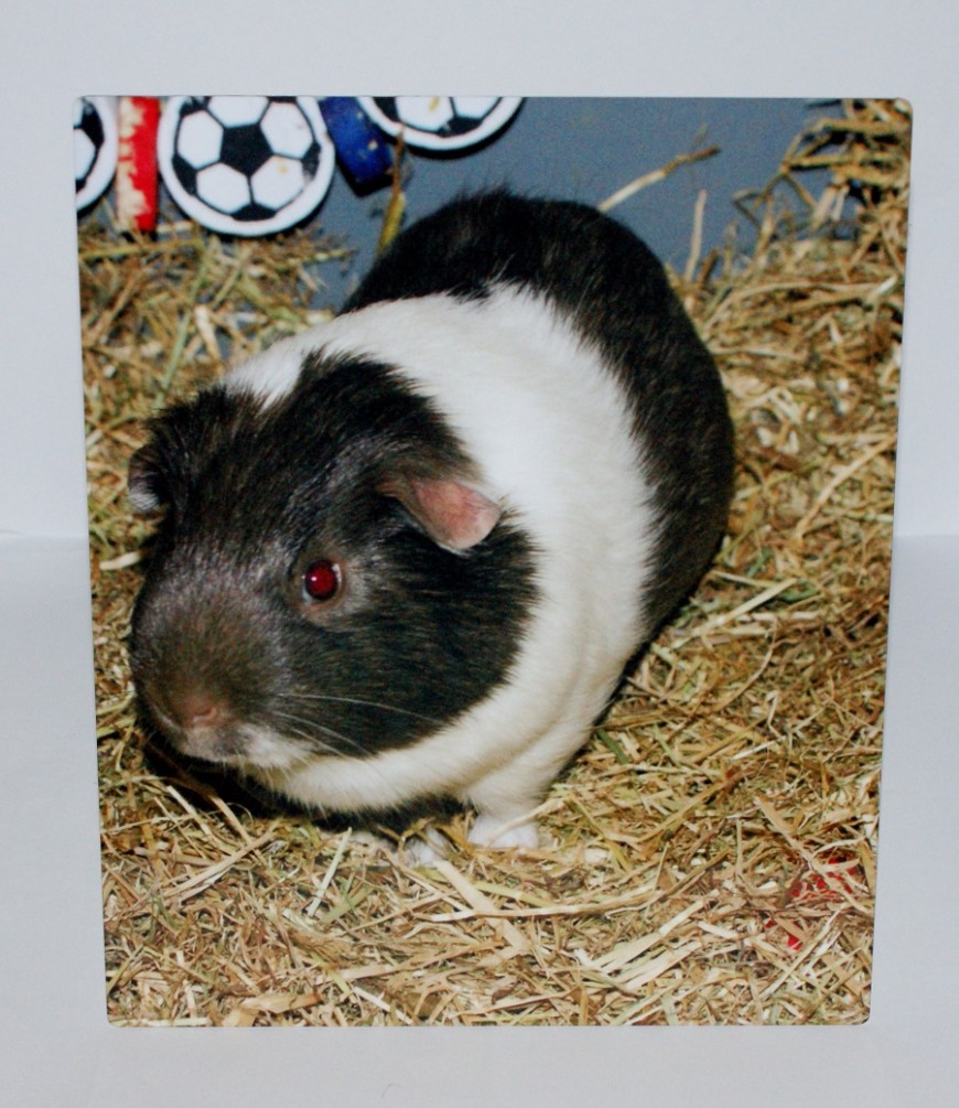 Aluminium Photo Panel