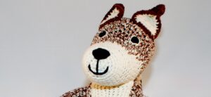 Brown Fox from Darwin's Home