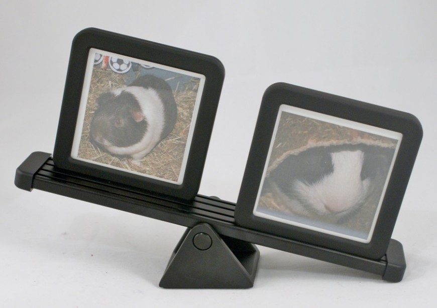Umbra Teeter Photo Display