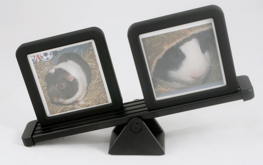 Umbra Teeter Photo Display