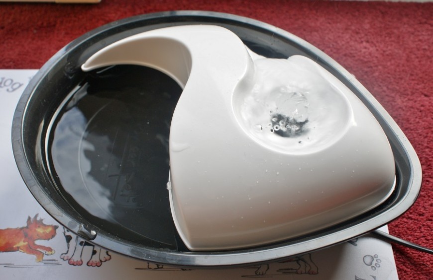 Water Bowl