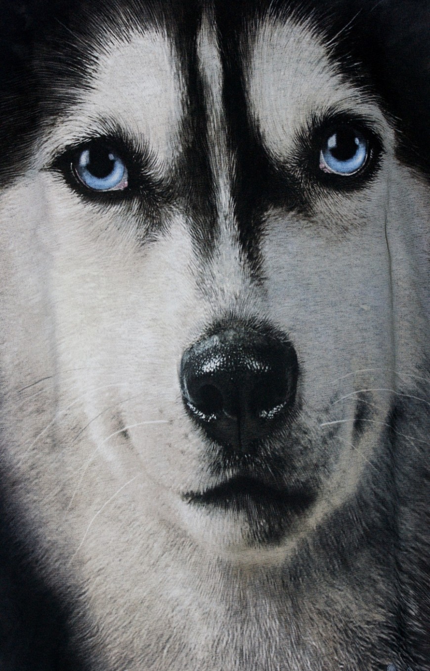 SIBERIAN FACE T-SHIRT