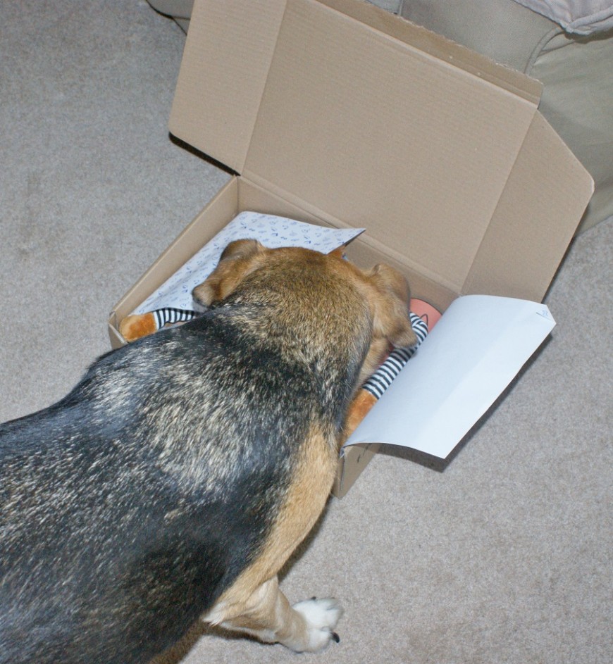 PawPost