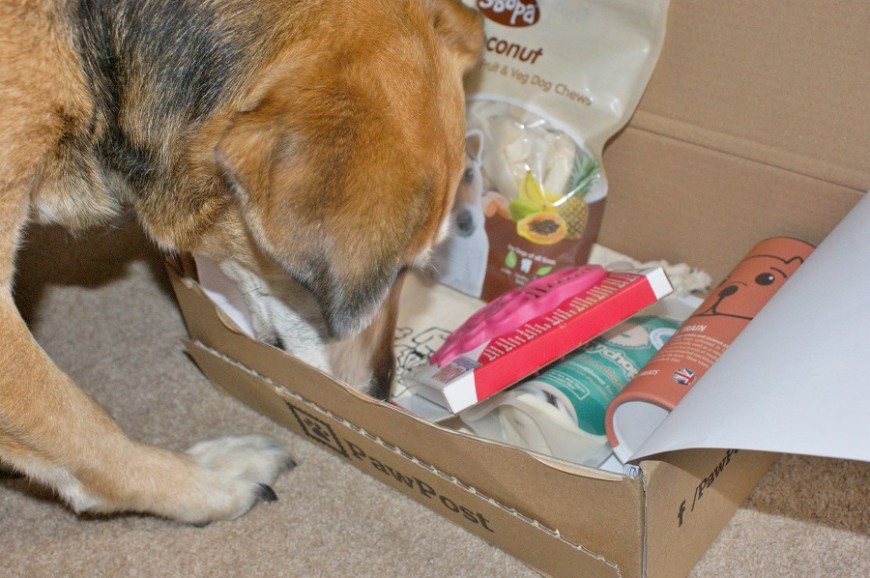 PawPost