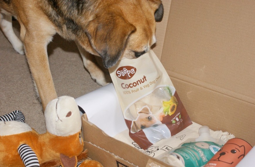 PawPost