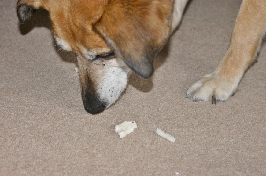 PawPost