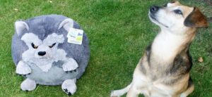 A dog sits on the grass, gazing up beside a round, gray Squishable stuffed toy resembling a wolf with an angry expression. The plush has a tag attached to it.