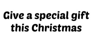 Text in bold black font on a plain white background reads, Give a special gift this Christmas.