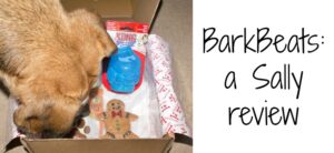 BarkBeats