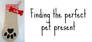 A Christmas stocking with a paw print design and a red dog bone tag labeled Sally, next to the text Finding the perfect pet present.