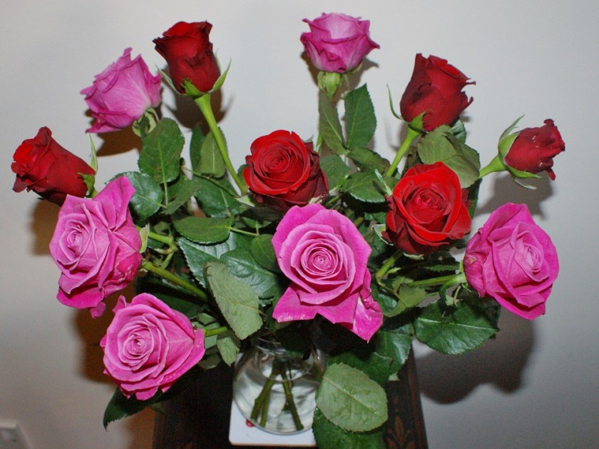 roses