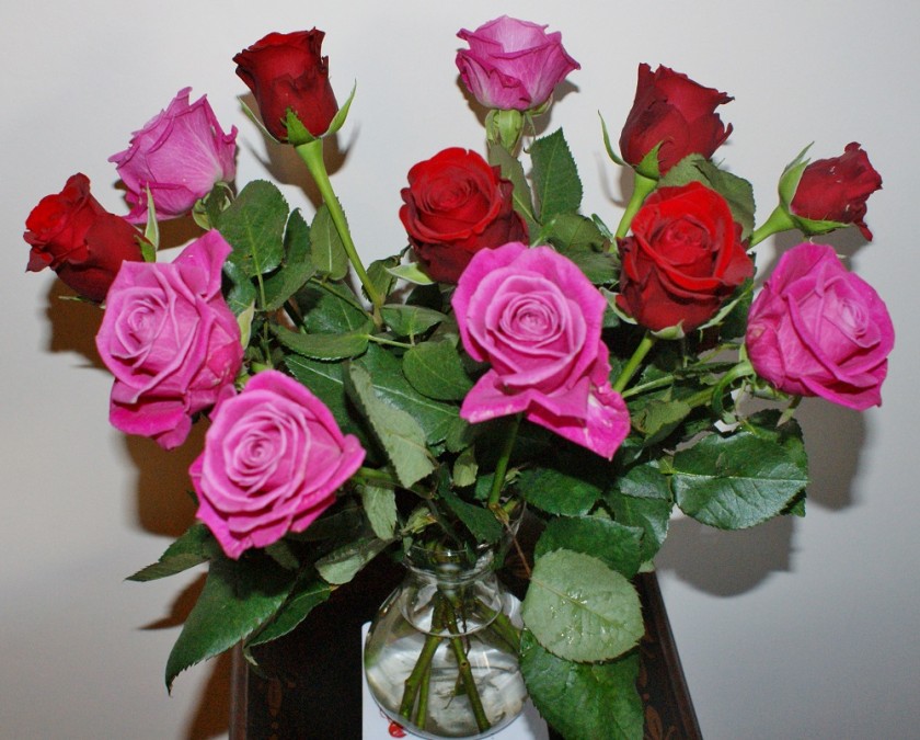 roses