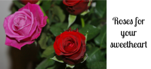 roses