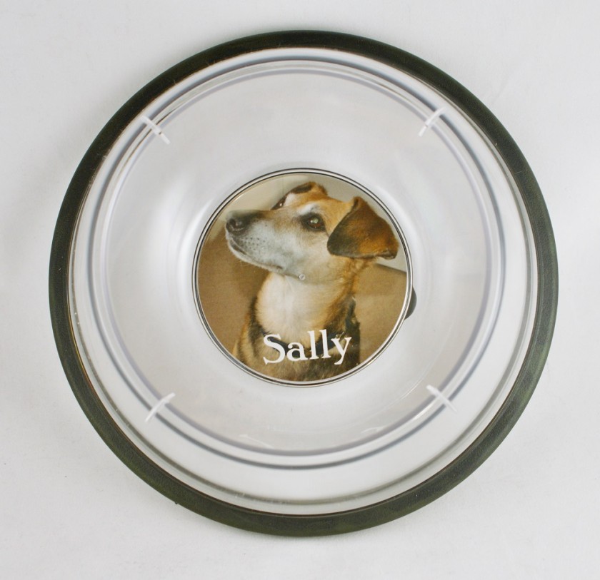 personalised pet bowl