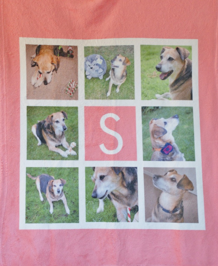 personalised pet blanket