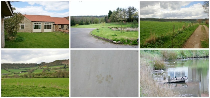 Ox Pasture Hall Hotel