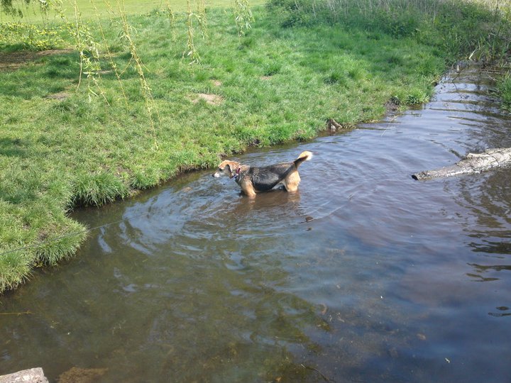 Sallly