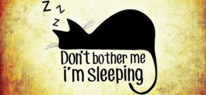 sleep