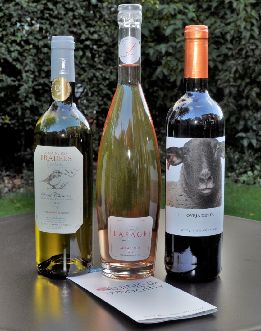 Cheese and Sympathy - Wine Box: Review