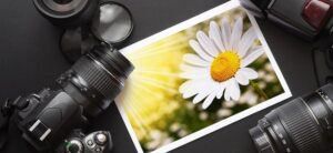 A photograph of a white daisy with a yellow center is surrounded by cameras and lenses on a dark surface. Sunlight illuminates the daisy, creating a warm and vibrant atmosphere.