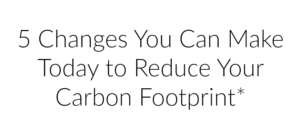 Text on a white background reading: 5 Changes You Can Make Today to Reduce Your Carbon Footprint* in clean, simple font.