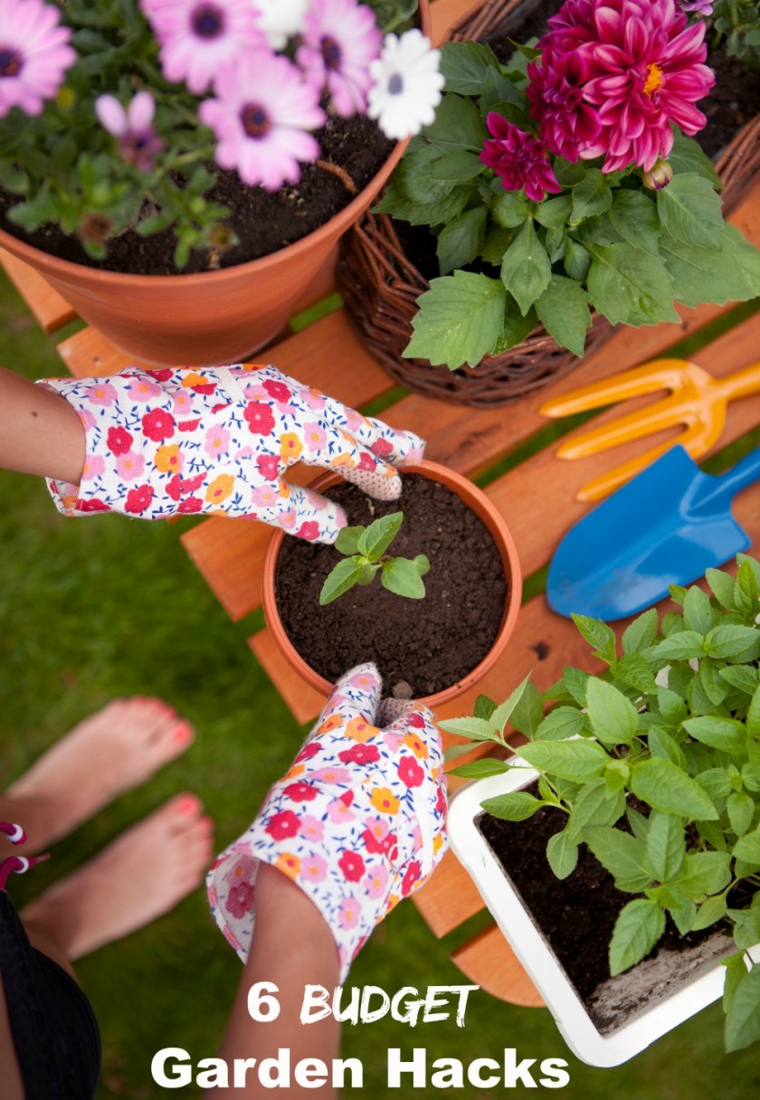 6 Budget Garden Hacks