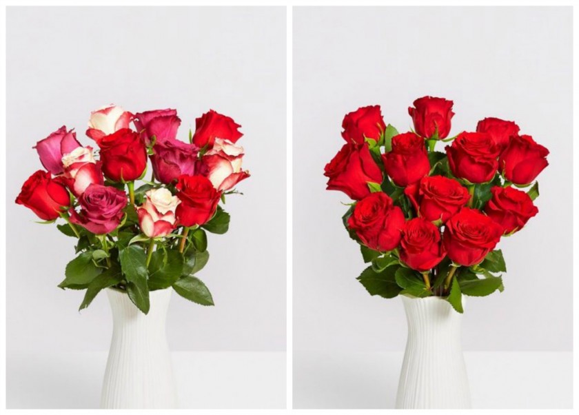 Bloom and Wild Valentines