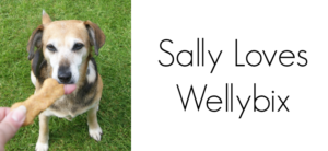 Wellybix