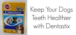 Image of a Pedigree Dentastix box with the tagline Keep Your Dogs Teeth Healthier with Dentastix displayed beside it. The box features a dog and highlights the dental care benefits of the product.