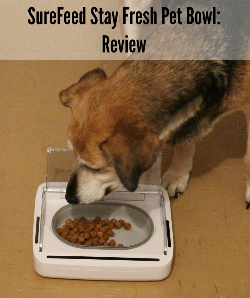 Surefeed Pet Food Bowl