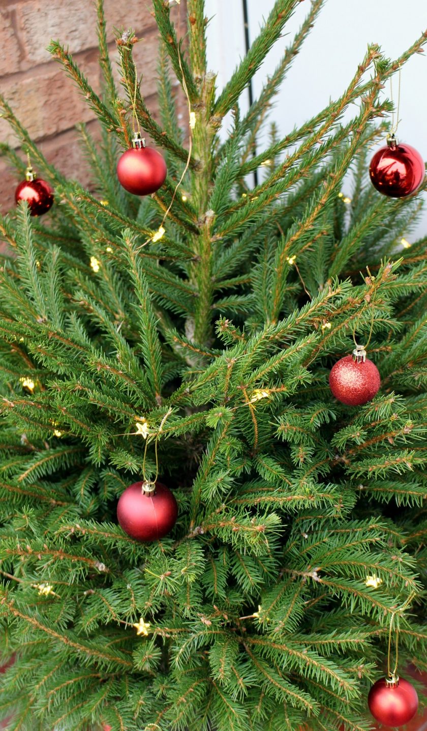 Ideal World Real Christmas Tree