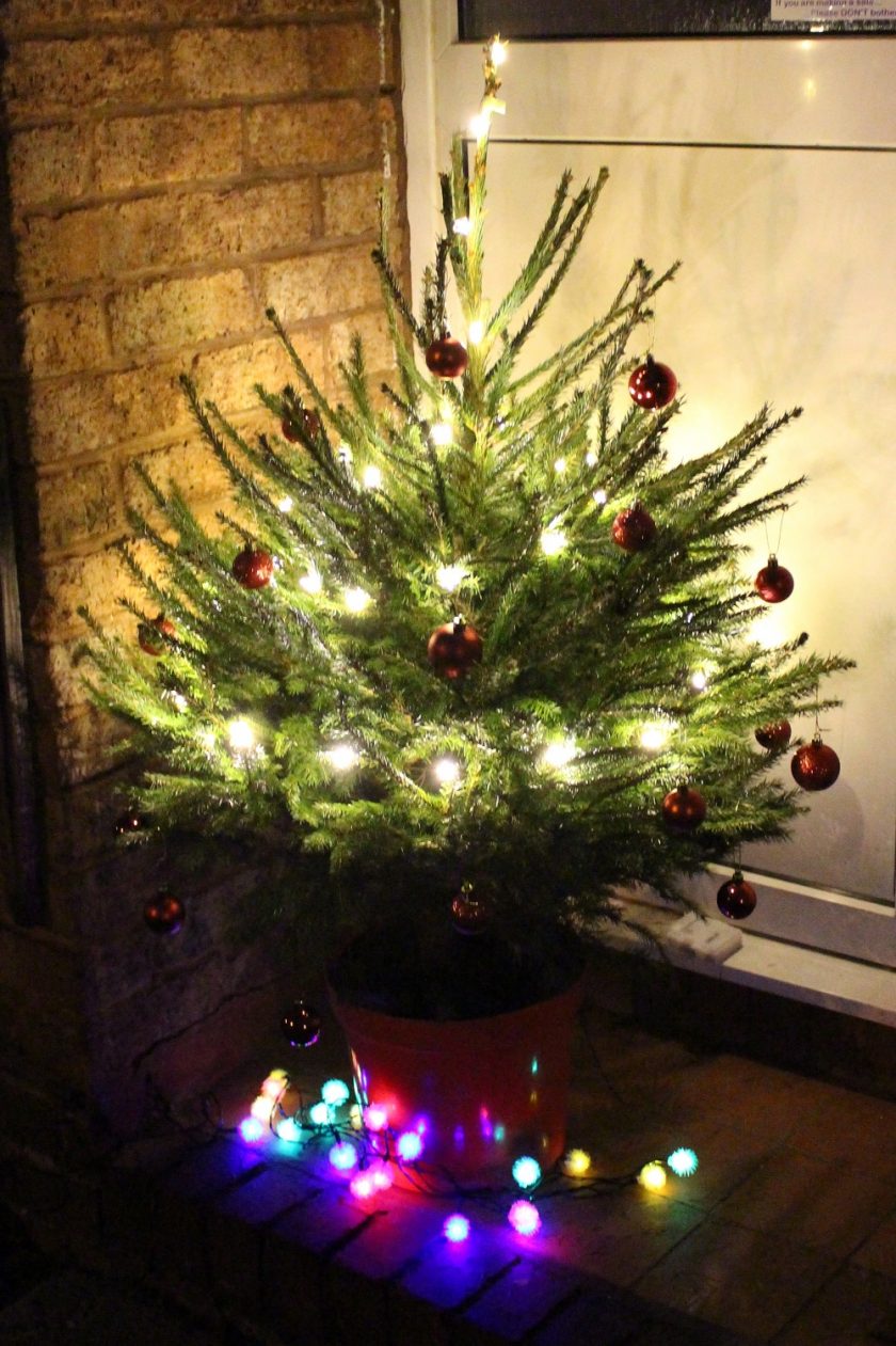 Ideal World Real Christmas Tree