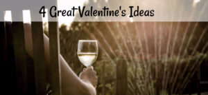 A person holding a glass of white wine sits outdoors. Sunlight filters through trees in the background. The text at the top reads, 4 Great Valentines Ideas.
