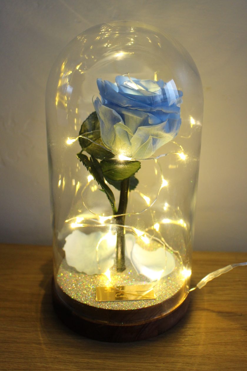 The Forever Rose Company Light Blue Rose with Lights