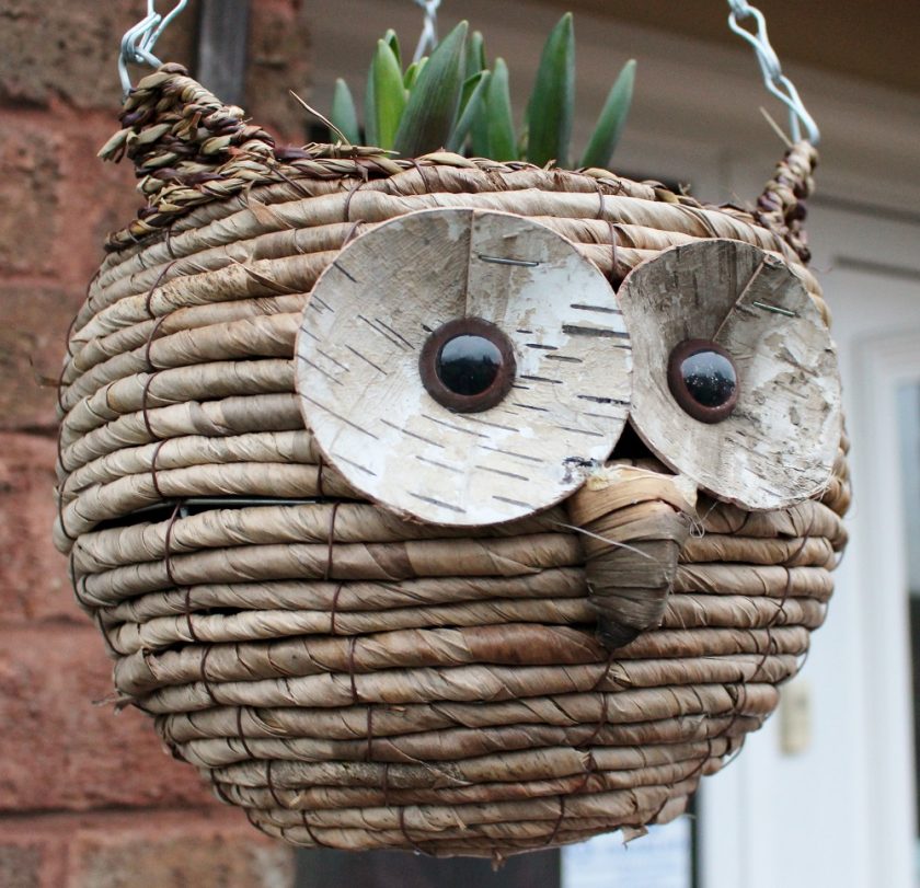 Owl Hanging Basket