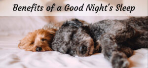 Benefits of a Good Night's Sleep