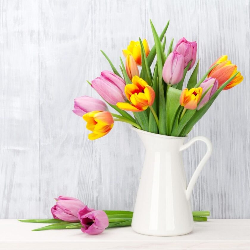 colourful bouquet of tulip flowers