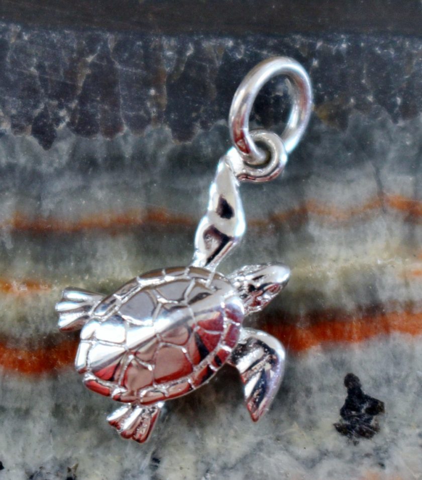 Lily Charmed Turtle Charm