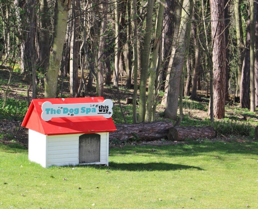 Raithwaite Hall Estate - Dog Spa