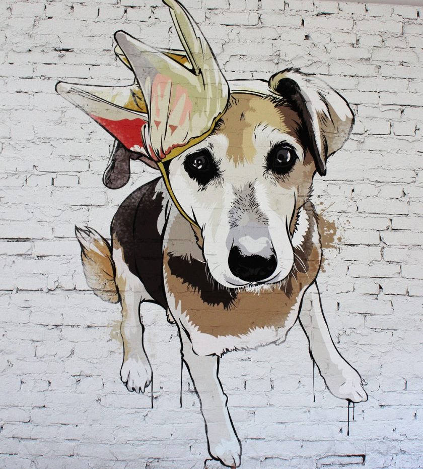 ArtYourFace Banksy Pop Art Banskey Wall - Sally wearing a crown close up of sally