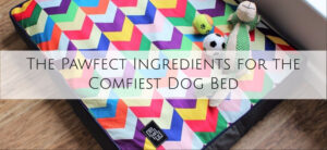 Raised By Humans Colourful Metric Dog Bed with the wording over it The Pawfect Ingredients for the Comfiest Dog Bed