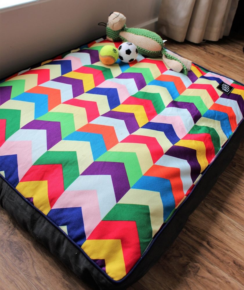 Raised By Humans Dog Bed - Photo Taken from the side showing the Metric Colourful Design