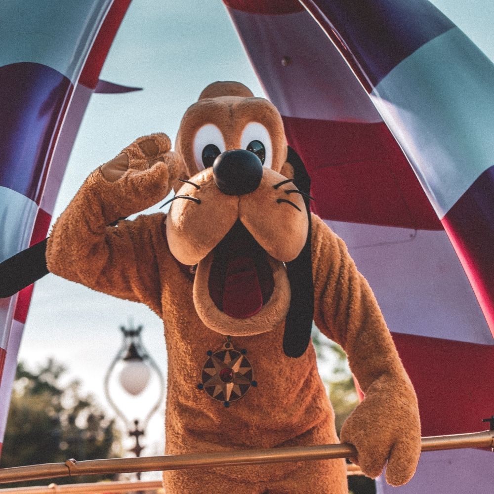 pluto costume disney